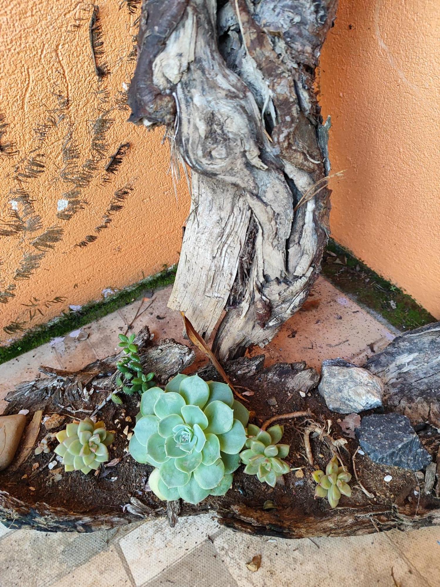 Vila Ecologica Cambara 外观 照片